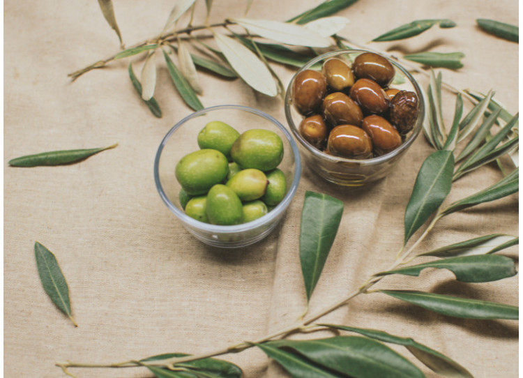 Les Olives, une mine d'or pour notre santé